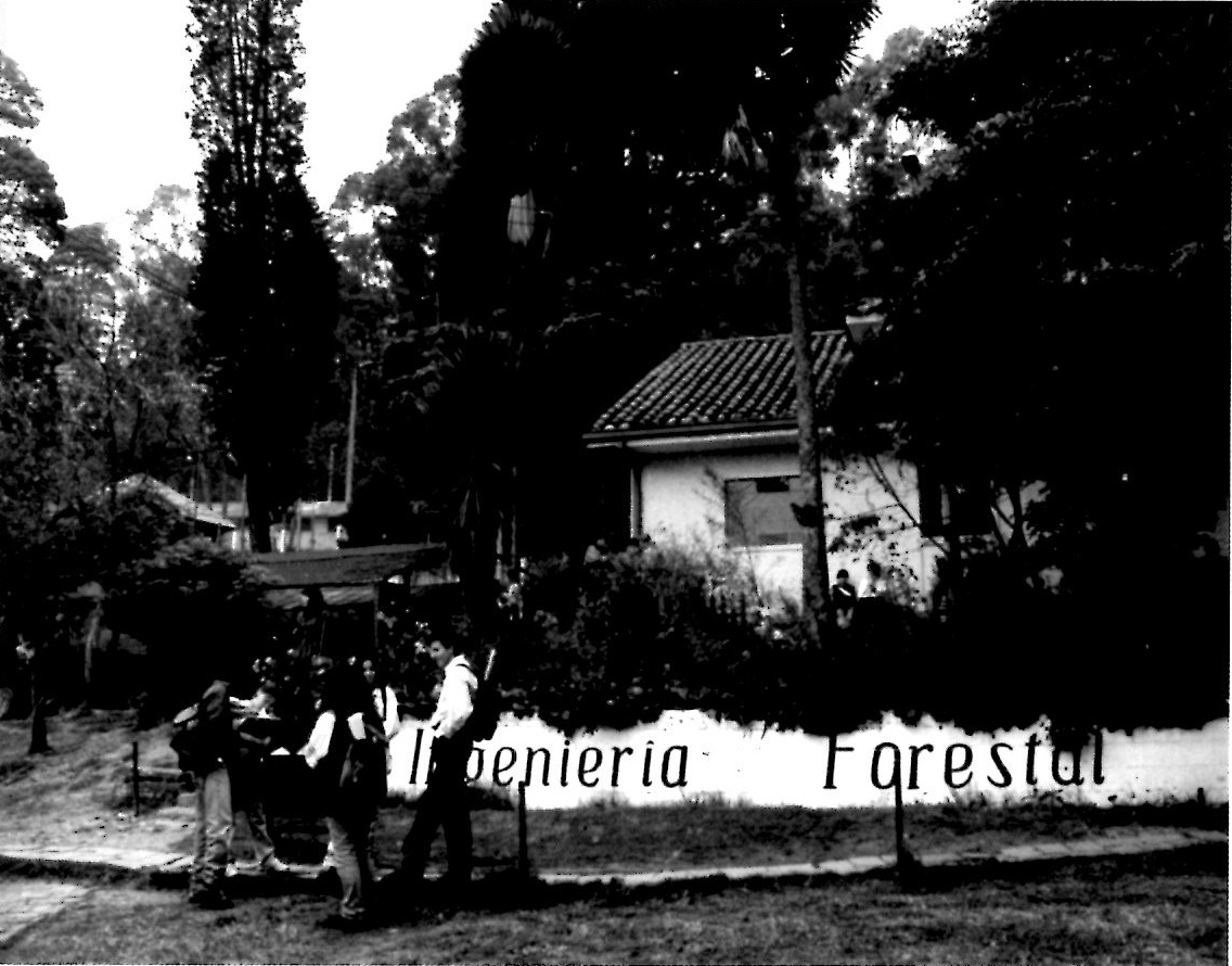 Edificio Ingenieria forestal